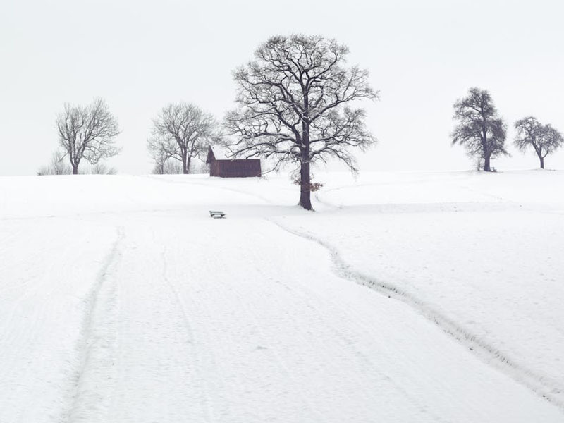 Арав хоногийн цаг агаарын урьдчилсан төлөв